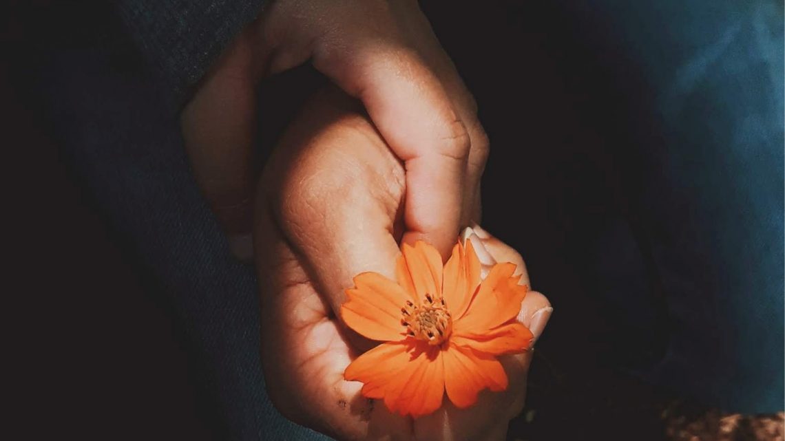 Ti ricordi com’è fatto un fiore? di Elpidio Cecere – SEGNALAZIONE